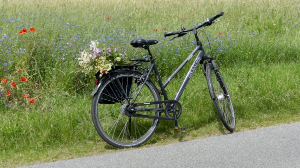 Łukasiewicz – Instytut Ceramiki i Materiałów Budowlanych wspiera Rowerowy Maj!